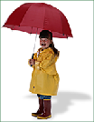 wp53d0e31c.png